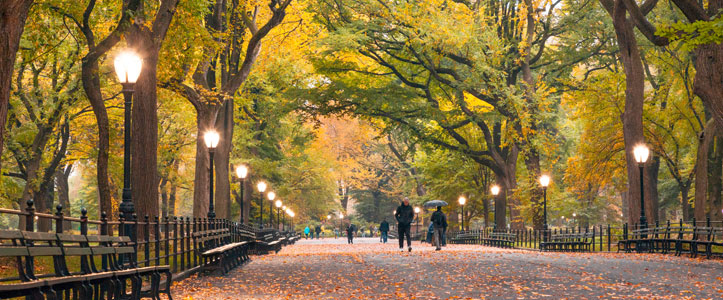 Central Park NewYork